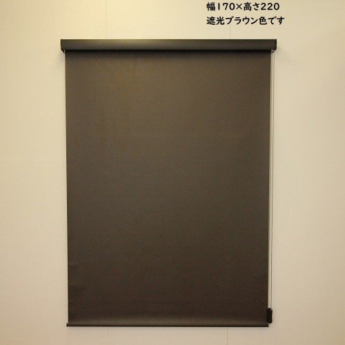 RSエクシヴ 遮光 170×220 遮光ブラウン L3538 ブラウン