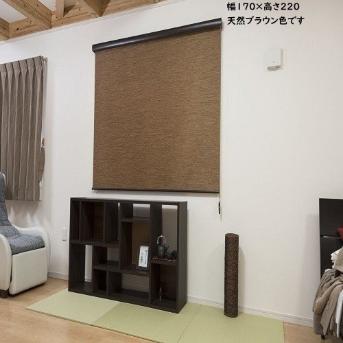 RSエクシヴ 天然 170×220 天然ブラウン L3554 ブラウン
