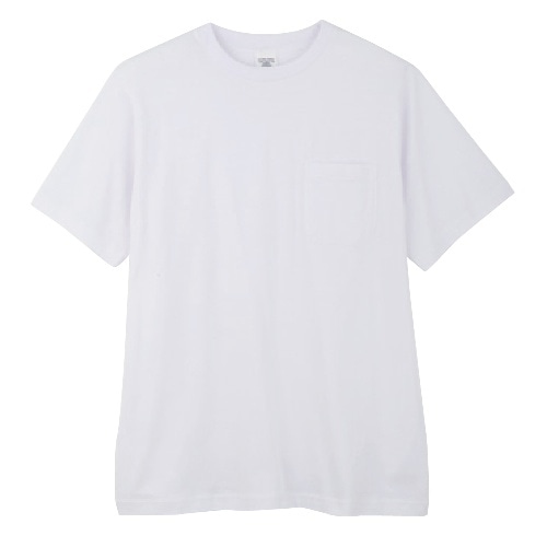[取寄10]半袖Tシャツ #2907 Lサイズ [1着][4536527836076]
