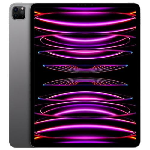 iPad Pro 12.9インチ 第6世代 Wi-Fi 2022年秋モデル MNXW3J/A スペースグレイ [1TB]
