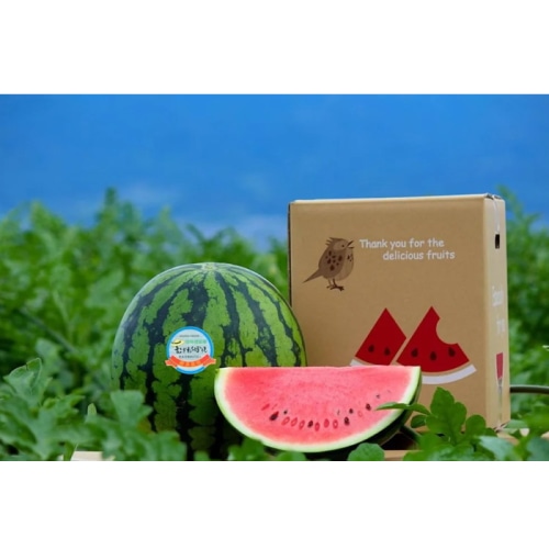 【綿半/フルーツ・野菜特集】長野県 波田産 すいか 3L 1玉 [予約直送]【7月後半～8月中旬お届け予定/配送日指定不可】