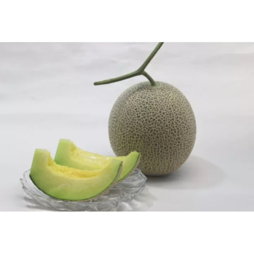 【綿半/フルーツ・野菜特集】愛知県渥美半島産 アールスメロン 2L 2玉 [予約直送]【7月後半～8月中旬お届け予定/配送日指定不可】