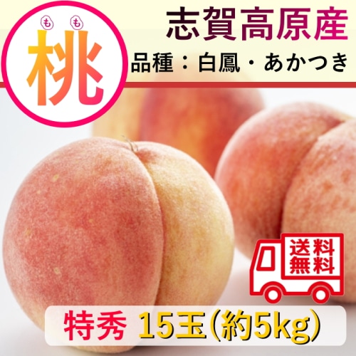 【綿半/フルーツ・野菜特集】長野県 志賀高原産 もも 特秀 大玉 約5kg 15玉 [予約直送] 【7月後半～8月中旬お届け予定/配送日指定不可】