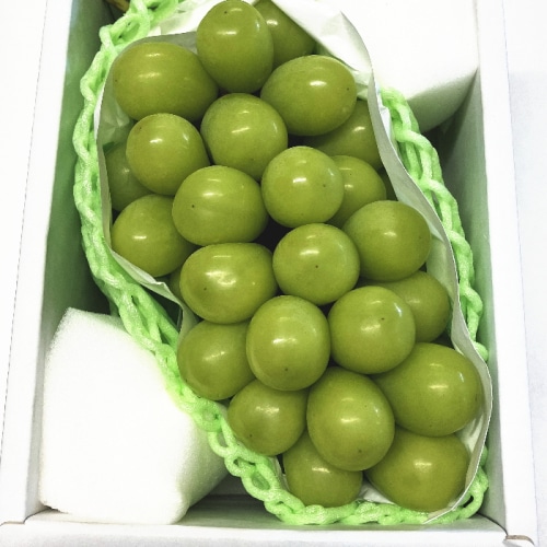 【綿半/フルーツ・野菜特集】長野県産 シャインマスカット ぶどう 1房 約600g [予約直送]【7月後半～8月中旬お届け予定/配送日指定不可】