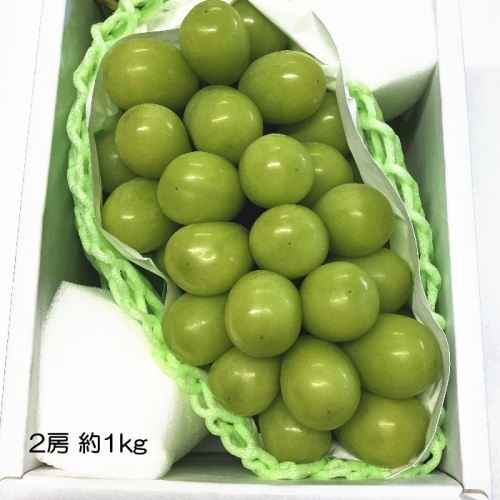 【綿半/フルーツ・野菜特集】山梨県産 シャインマスカット ぶどう 2房 約1kg [予約直送]【7月後半～8月中旬お届け予定/配送日指定不可】