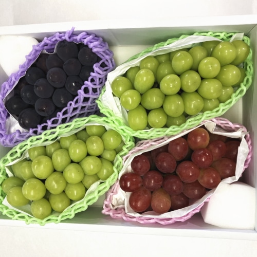 【綿半/フルーツ・野菜特集】山梨県産 3色ぶどう 4房（緑・赤・黒）シャインマスカット2房/富士の輝き/甲斐キング等 (品種はお選びいただけません) [予約直送]【7月後半～8月中旬お届け予定/配送日指定不可】