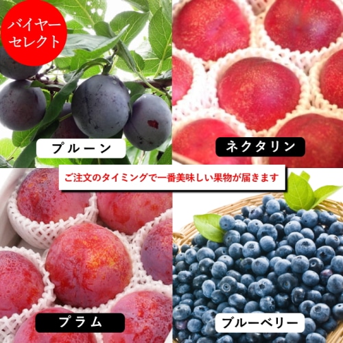 【綿半/フルーツ・野菜特集】長野県 北信濃 初夏の果物詰め合わせ 約1.2kg (品種はお選びいただけません) [予約直送]【7月後半～8月中旬お届け予定/配送日指定不可】