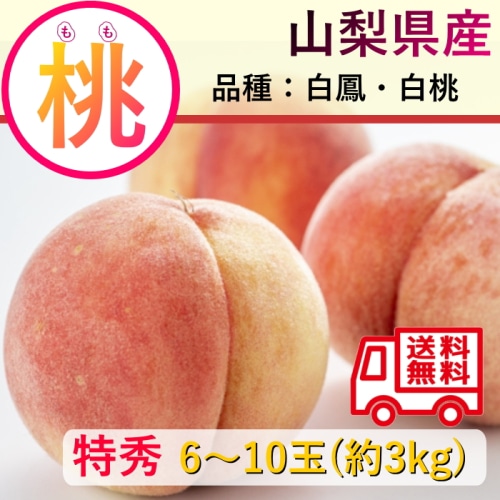 【綿半/フルーツ・野菜特集】山梨県産 もも 特秀 白鳳・白桃等 約3kg 6～10玉 [予約直送]【7月より順次お届け予定/配送日指定不可】