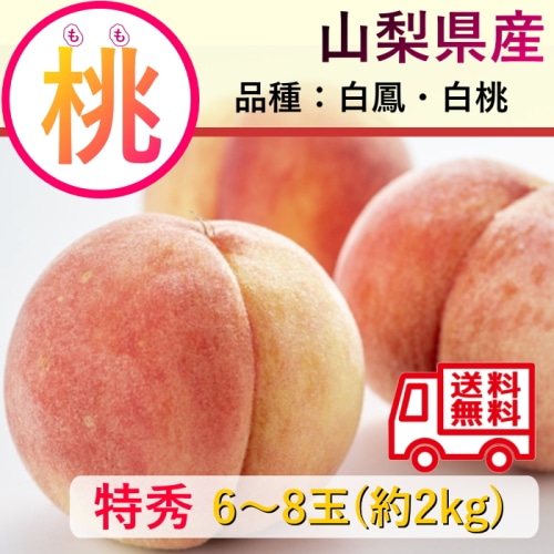 【綿半/フルーツ・野菜特集】山梨県産 もも 特秀 白鳳・白桃等 約2kg 6～8玉 [予約直送]【7月より順次お届け予定/配送日指定不可】