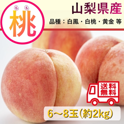 【綿半/フルーツ・野菜特集】山梨県産 もも ミックス 白鳳・白桃・黄金等 約2kg 1箱 6～8玉 [予約直送]【7月より順次お届け予定/配送日指定不可】