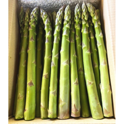 [予約直送]【綿半/フルーツ・野菜特集】長野県産 アスパラガス 約1kg 【7月～8月順次お届け予定/配送日指定不可】