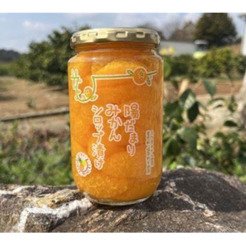 【綿半/フルーツ・野菜特集】陽だまりみかんシロップ漬け 900g 2本 [予約直送] 【6月～8月頃順次お届け予定/配送日指定不可】