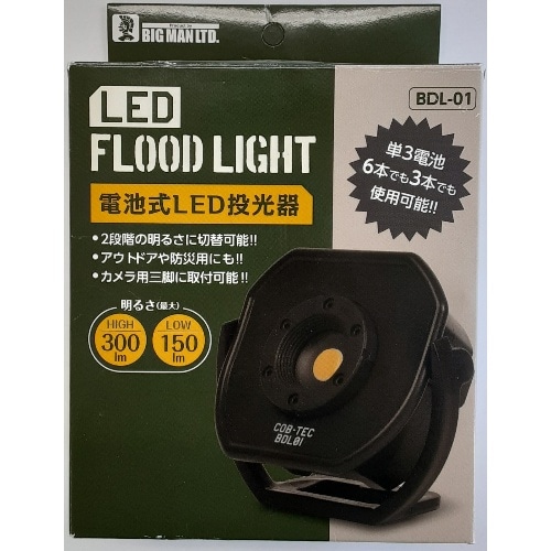 [取寄10]LED投光器5W BDL-01 [1台][4962308004684]