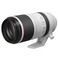[おすすめ]RF100-500mm F4.5-7.1 L IS USM RF100-500LIS