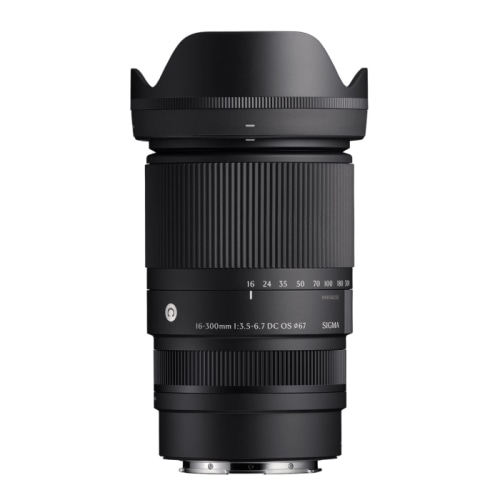 16-300mm F3.5-6.7 DC OS (ソニーE用)