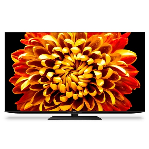 [大型特配]AQUOS 4T-C65DP1 [65インチ]