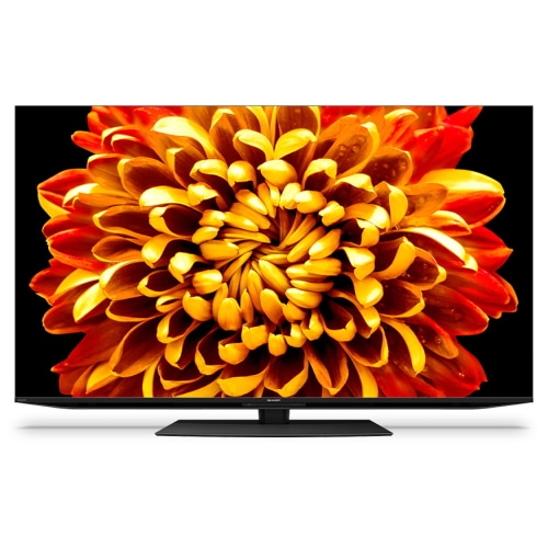 AQUOS XLED 4T-C55DP1  [55インチ]