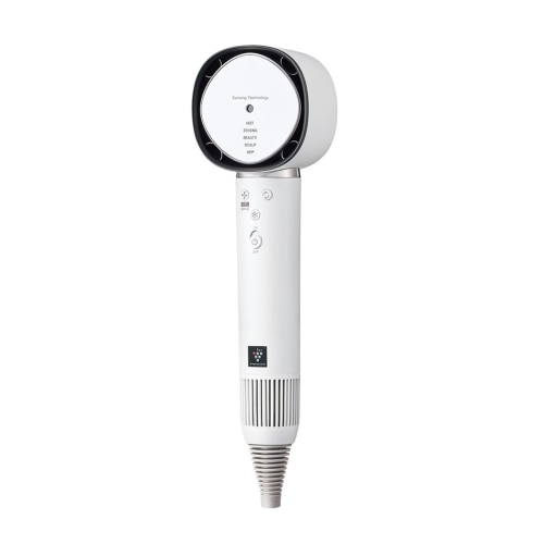 Plasmacluster Beauty IB-WX901-W ルミナスホワイト