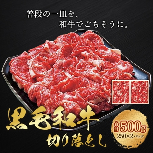 [冷凍][直送5]国産黒毛和牛切り落し 250g×2 【配送指定日不可】2053