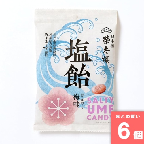 [取寄10][まとめ買い]【6個セット】塩飴 ほんのり梅味 70g 熱中症 飴 熱中症対策 熱中症予防 グッズ 業務用 塩飴 塩分補給 [4901060635132]