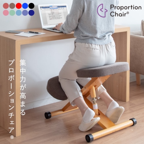 [直送5]座るだけで集中力が高まるプロポーションチェア(R) CH-N88W-NTLBL ナチュラルライトブルー