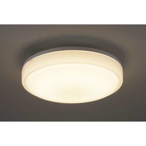 LED内玄関灯 電球色 LT-Y18L-G ホワイト