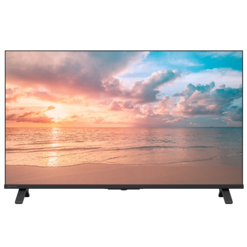 REGZA 55E350R [55インチ]