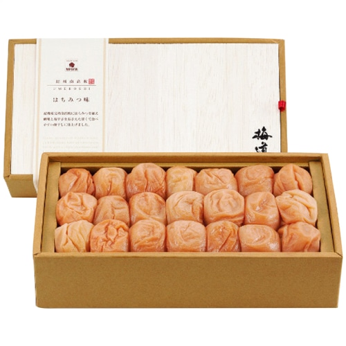 お中元 中田食品 梅道 紀州南高梅はちみつ味 [直送商品](4749-026)
