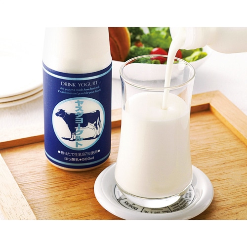 お歳暮 ヤスダヨーグルトギフト W2367 [冷蔵][直送商品](9828-067)
