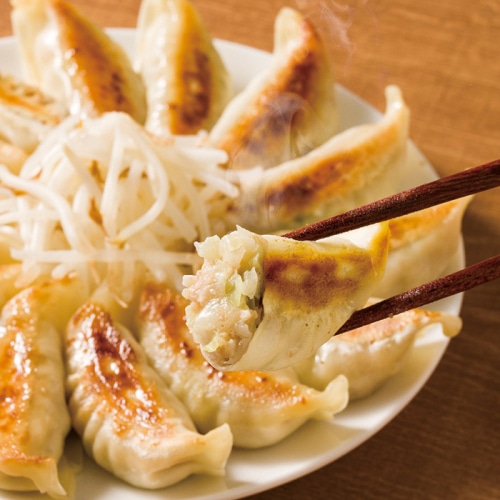 ＼早期◆5％OFF／ お中元 アイエスワイ 浜松餃子 [冷凍][直送商品](4731-055)