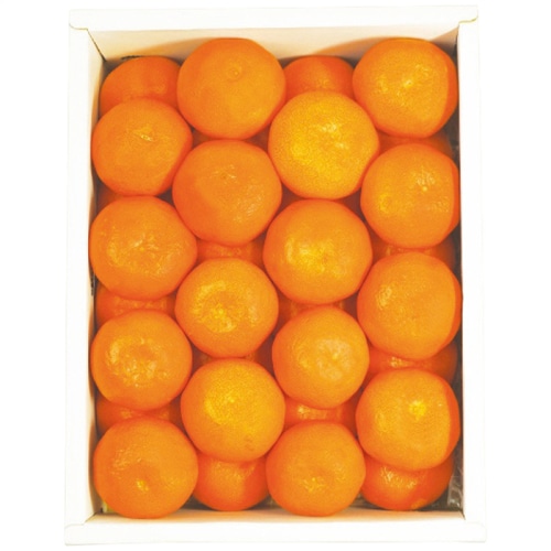 お中元 大阪南部合同青果 香川県産 小原紅ハウスみかん 2kg [直送商品](4726-066)