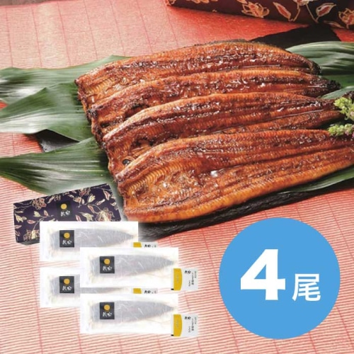 お中元 鰻楽 九州産 うなぎ蒲焼 長焼 4尾 [冷凍][直送商品](4737-033)
