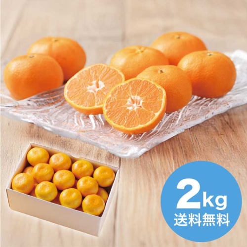 お歳暮 フルーツワールド 愛媛県産 みかん約2kg 【11月下旬以降順次発送】 [直送商品](9811-036)