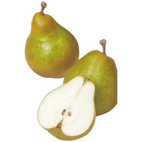 お歳暮 丸松青果 いずみ会の山形産ラ・フランス約3.2kg 【11月中旬以降順次発送】 [直送商品](9830-036)