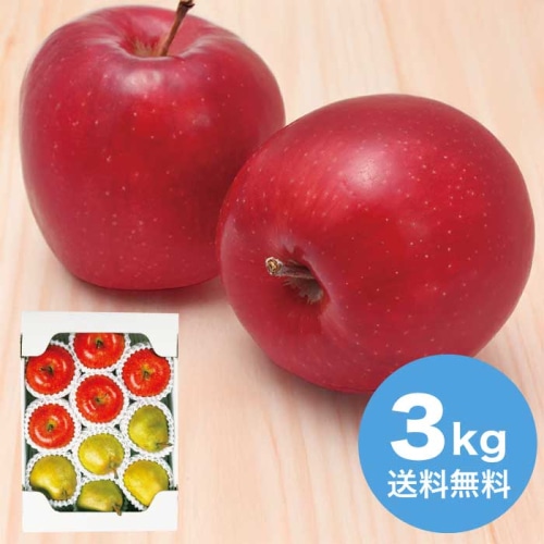 お歳暮 丸松青果 いずみ会の山形産サンふじりんごとラ・フランス約3kg 【12月上旬以降順次発送】 [直送商品](9830-048)