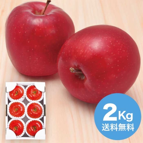 お歳暮 丸松青果 いずみ会の山形産サンふじ秀品約2kg 【12月上旬以降順次発送】 [直送商品](9830-050)