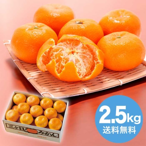 お歳暮 フルーツワールド 静岡県産 三ヶ日みかん約2.5kg 【11月中旬以降順次発送】 [直送商品](9831-014)