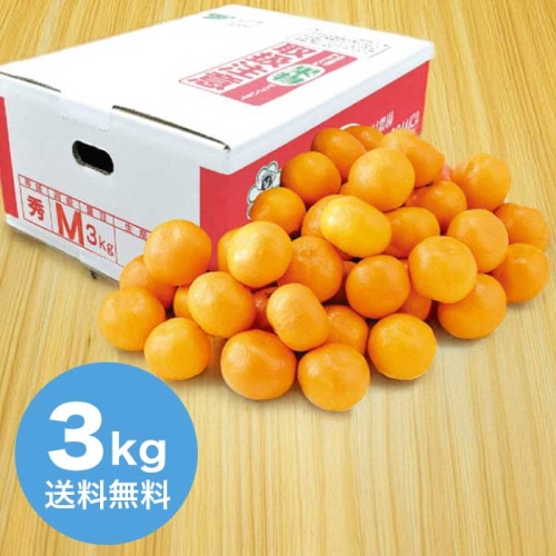 お歳暮 大村農園 熊本県産 天水みかん約3kg 【12月上旬以降順次発送】 [直送商品](9831-026)