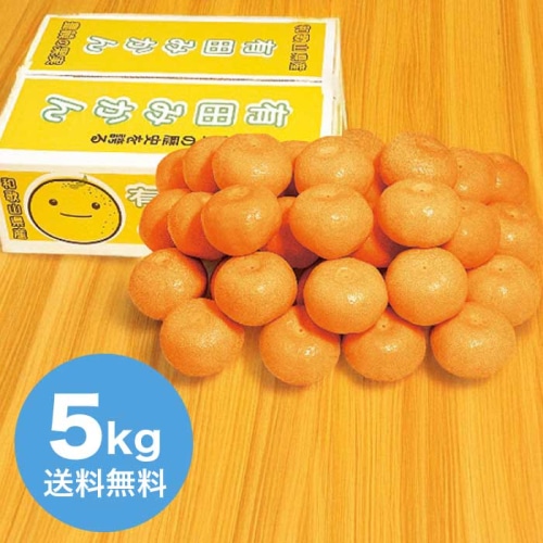 お歳暮 大阪南部合同青果 和歌山県産 有田みかん約5kg 【12月上旬以降順次発送】 [直送商品](9831-038)