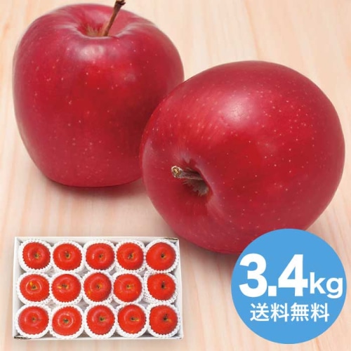 お歳暮 大阪南部合同青果 長野県産 信州サンふじ 約3.4kg 【12月上旬以降順次発送】 [直送商品](9831-052)