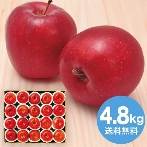 お歳暮 大阪南部合同青果 長野県産 信州サンふじ 約4.8kg 【12月上旬以降順次発送】 [直送商品](9831-064)