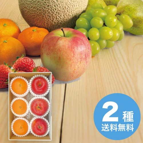 お歳暮 マルマン 愛媛県産 紅まどんな＆青森県産 蜜入りサンふじ 【12月上旬以降順次発送】 [直送商品](9832-016)