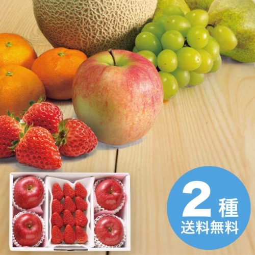 お歳暮 フルーツワールド サンふじといちご詰合せ 【11月下旬以降順次発送】 [直送商品](9832-028)