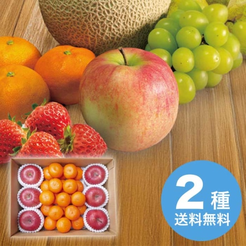 お歳暮 マルマン 和歌山県産 みかん＆青森県産 サンふじりんごセット 【12月上旬以降順次発送】 [直送商品](9832-054)