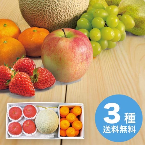 お歳暮 大阪南部合同青果 九州産 マスクメロン＆長野県産 サンフジ4玉＆和歌山県産 有田みかんセット 【12月上旬以降順次発送】 [直送商品](9832-078)