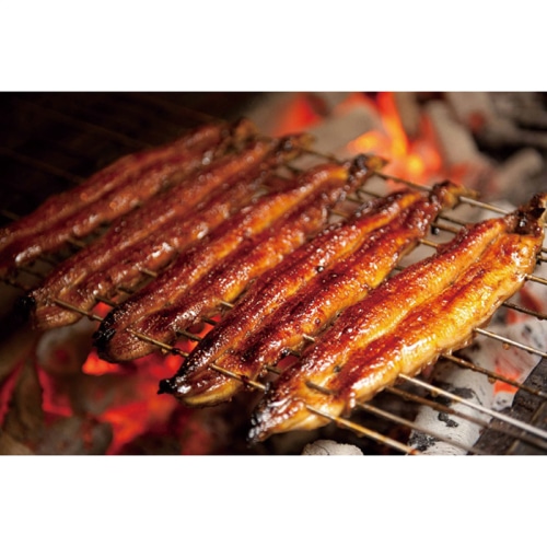 お歳暮 鰻楽 九州産うなぎ蒲焼切身3枚＆めしの具(ごぼう入)セット [冷凍][直送商品](9846-015)