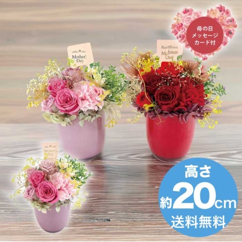 [直送商品]母の日 5/8-10お届け アークフラワースタジオ プリザーブドフラワー フルールソワレ ピンク 【配送指定日不可】 (1852-012)