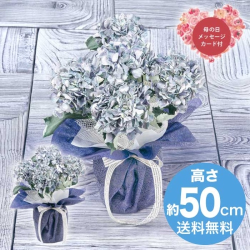 [直送商品]母の日 5/8-10お届け アークフラワースタジオ アーティフィシャルフラワー紫陽花5本立ち ブルー 【配送指定日不可】 (1852-252)