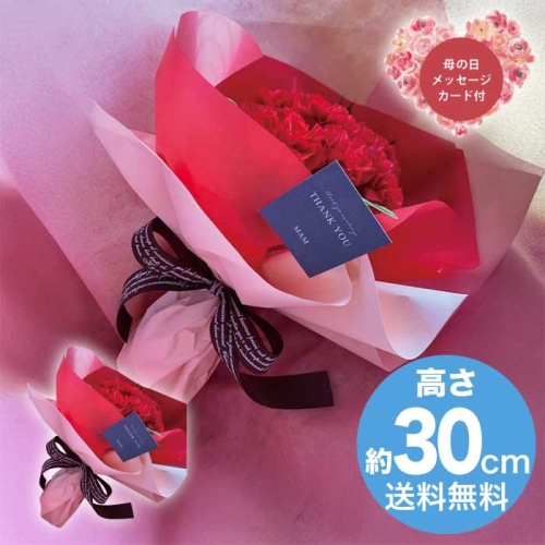 [直送商品]母の日 5/8-10お届け アークフラワースタジオ 生花カーネーションブーケ レッド 【配送指定日不可】 (1852-327)