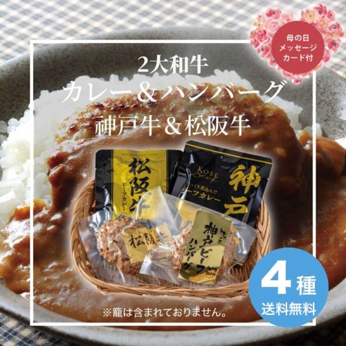 [冷凍][直送商品]母の日 5/8-10お届け エルスト 2大和牛カレー＆ハンバーグ食べ比べ 【配送指定日不可】 (1852-593)